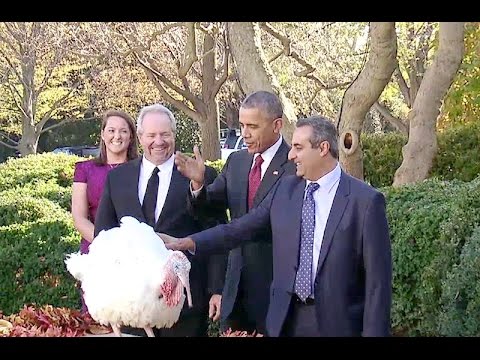 The President Pardons the ‎National Thanksgiving Turkey 2015