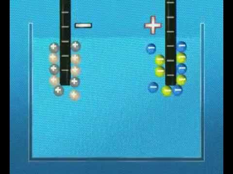 GCSE Science Revision - Electrolysis of a Solution