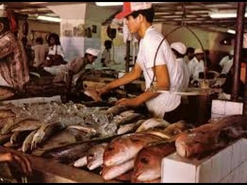 Singapore, the graphic Chinese Fish Market