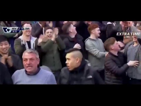 Newcastle United vs Swansea City 2-0 Highlights & All Goals - Premier League 9 April 2016