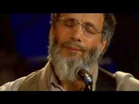 Yusuf Islam - Where do the children play