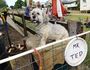 Mr Ted at the Laidley Pioneer Village Museum for the Laidley Heritage weekend.