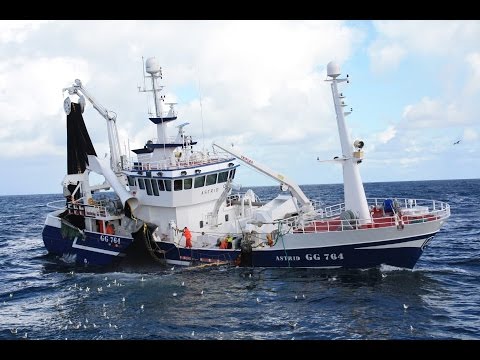 Mackerel Fishing in The North Sea September 2013