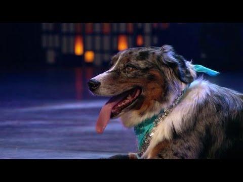 Amy & Kate stelen harten van de jury  - HOLLAND'S GOT TALENT