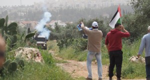 The Israeli forces and peaceful protesters