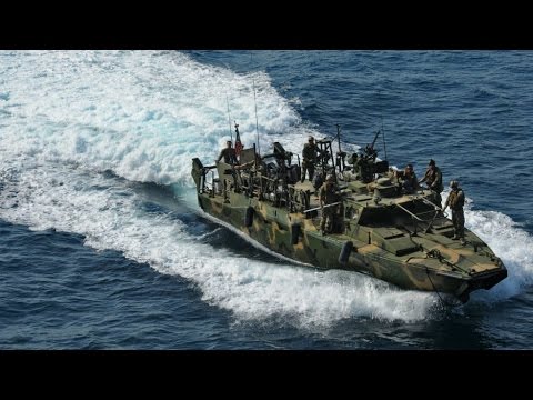 Iran: Revolutionary Guards release US sailors detained for violating Iranian waters