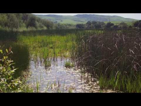 Stream Stewardship  - Santa Clara Valley Water District