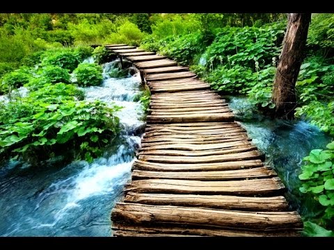 3 Hour Zen Music for Wellbeing: Inner Peace, Meditation Music, Relaxing Music, Chakra Balance ☯2587