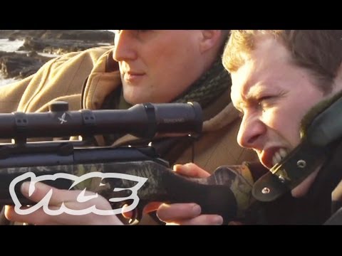 Hunting Wild Deer in the Scottish Highlands (Part 1)