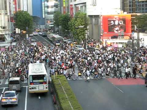 Sexy traffic at Shibuya - Tokyo