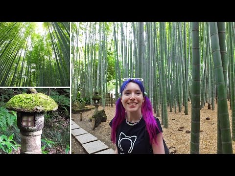 Bamboo Forest in Kamakura - SO BEAUTIFUL!! Tokyo vlog 9 part 2