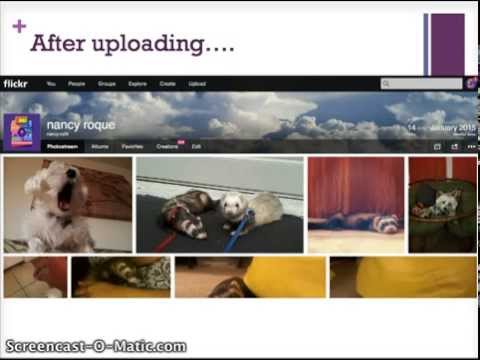 Flickr Tutorial 2015