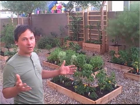 How to Grow a Vegetable Garden if you RENT your Home