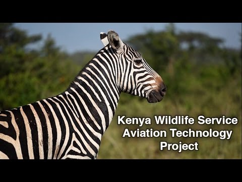 ​U.S. Partners with Kenya Wildlife Service to Protect Wildlife