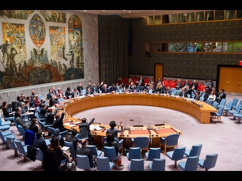 UN Security Council adopts Resolution on Youth, Peace and Security