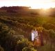 Cabernet in Margaret River is rivalling the world's best.