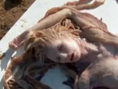 Real Mermaids offshore Arabian Sea , A must watch..never seen before