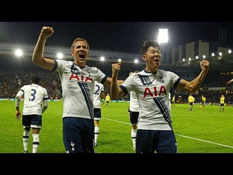 All Tottenham Hotspur Goals in 2015 HD