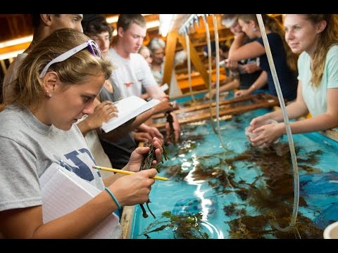 UNH Marine Biology Bootcamp