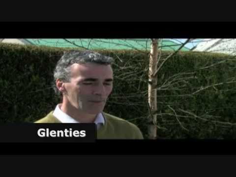 Donegal accents