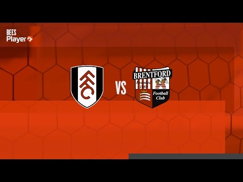 Match Highlights: Fulham 2 Brentford 2