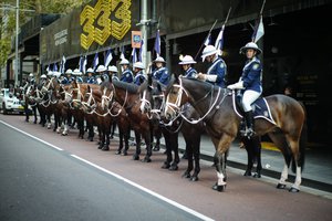 Australian police arrest 16-year-old in Anzac terror plot