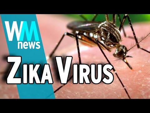 Top 10 Need To Know Zika Virus Facts