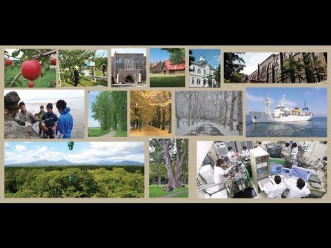 A Comprehensive Introduction to Hokkaido University (with narration)