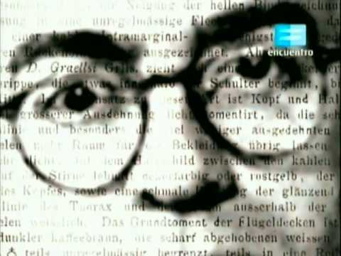 Capítulo 17 Theodor Adorno