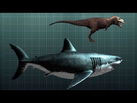 The Nightmarish Megalodon | Sharkzilla -- Shark Week 2012