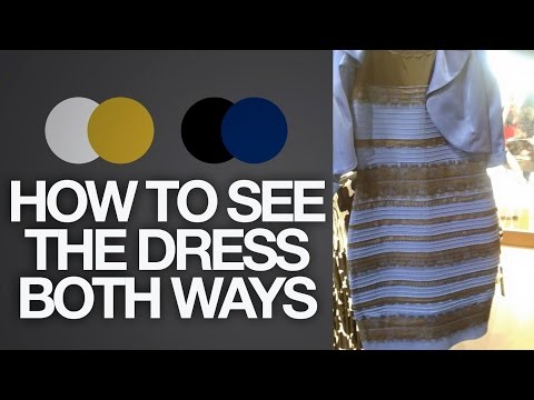 How to see The Dress BOTH ways (Black & Blue or White & Gold) | Toy Life