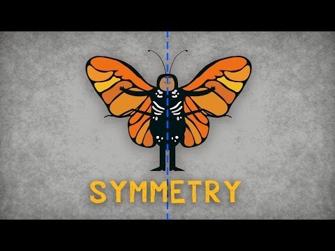 The science of symmetry - Colm Kelleher