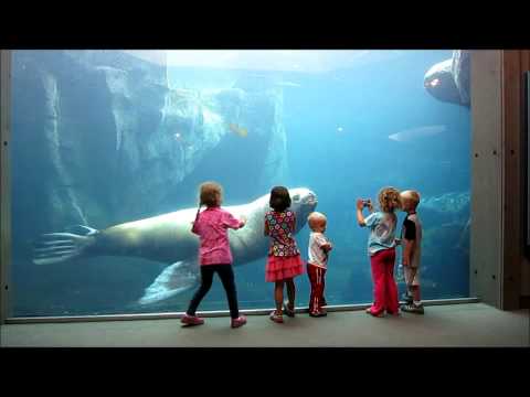 Alaska Sea Life Center, Seward AK