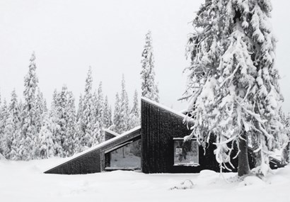 Norwegian architects build cabin you can ski on