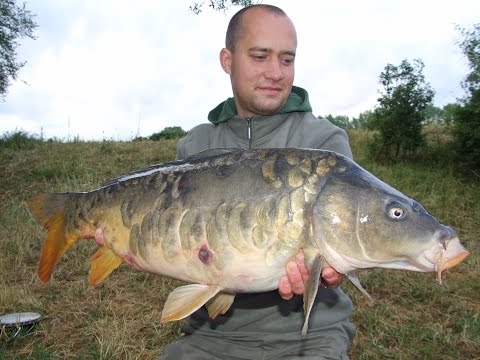 Karpfenangeln und Welsangeln an der Saone Frankreich 2011 Teil 1