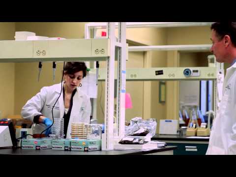 Study Pharmacy at Wayne State University