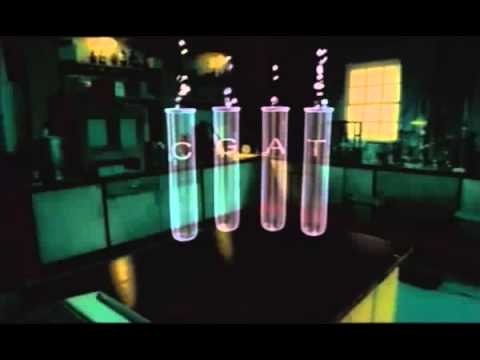 Medical Science documentary on DNA evolution Vs Religious Theologies   YouTube 2