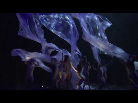 2014 World of WearableArt (WOW) Awards Show Moments