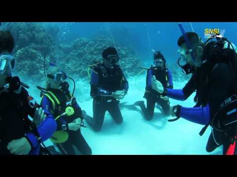 Open Water Diver SNSI - Scuba Nr. 1 (US)