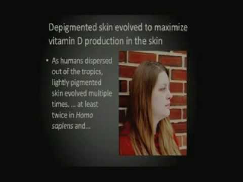 The Evolution of Human Skin Pigmentation