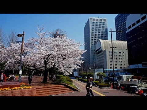 Walking in Tokyo