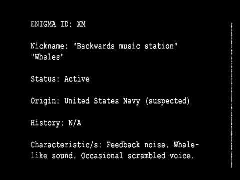 Shortwave Radio Oddity Roundup