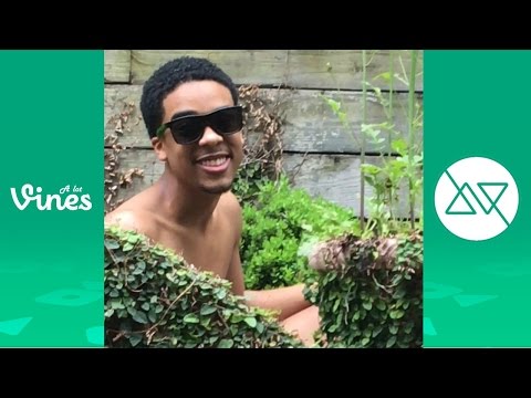 Ultimate HAMPTON Vine Compilation with Titles - All HAMPTON Vines 2016