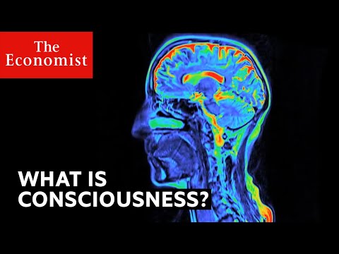 What is consciousness?