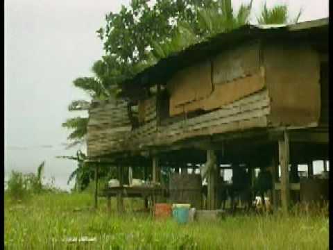 Rapid Deforestation - Papua New Guinea