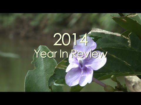 UNDP's Year In Review 2014