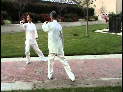 Two people mirror Tai Chi form 8