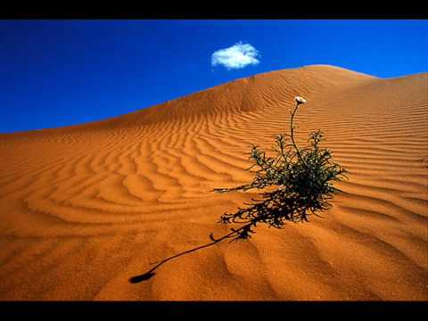 Across the Nubian Desert