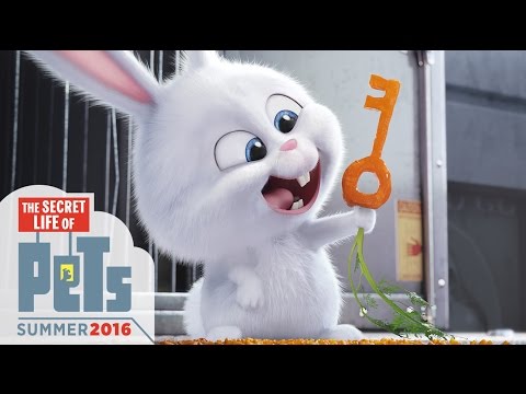 The Secret Life of Pets - Kevin Hart Is Snowball (HD) - Illumination