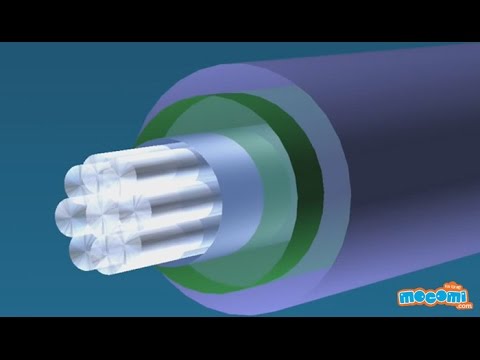 What is Fiber Optics? | Mocomi Kids